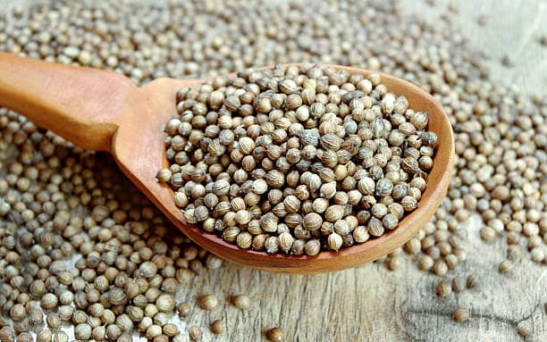 تصویر 4 از قیمت خرید تخم گشنیز با کیفیت با فروش عمده